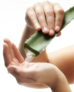 Cosmio Aloe vera gél 10:1 koncentrátum - 20 ml
