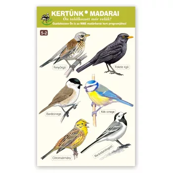   MME ablakmatrica csomag - kertünk madarai 5-2. (Fenyőrigó... Barázdabillegető)