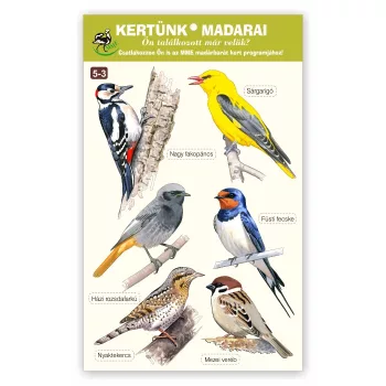   MME ablakmatrica csomag - kertünk madarai 5-3. (Nagy fakopáncs… Mezei veréb)