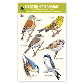   MME ablakmatrica csomag - kertünk madarai 5-5. (Kenderike… Molnárfecske)