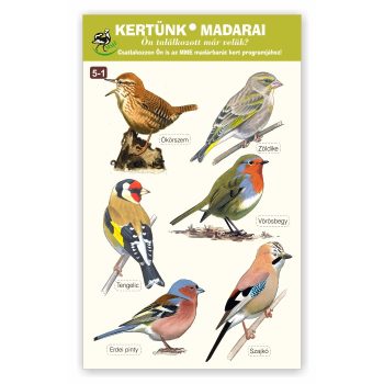   Kertünk madarai - ablakmatrica csomag - 5-1 (Ökörszem... Szajkó)