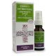 Aromax Antibacteria levendula-teafa légfrissítő spray - 20 ml