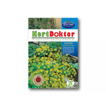 Rédei Kertdoktor vetőmag - kapor