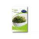 Rédei Bio zsázsamag csíráztatásra - 30 g