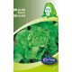 Rédei vetőmag - Fejessaláta, áttelelő (Humil)