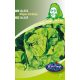Rédei vetőmag - Saláta (Május királya) (kifutó)