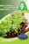 Rédei vetőmag - Saláta (Lollo bionda és rossa)