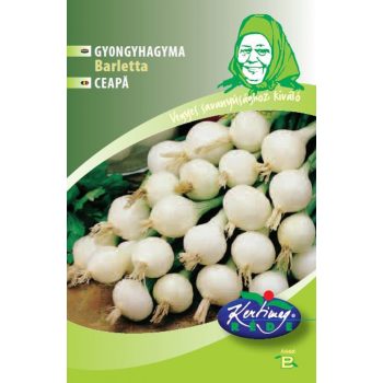 Rédei vetőmag - Gyöngyhagyma (Barletta)