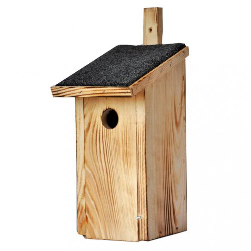 Madárodú - A-típusú (AKG-A)