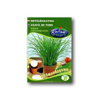 Rédei Fűszernövény vetőmag korong - metélőhagyma