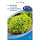 Rédei vetőmag balkonra - Tépősaláta (Lollo bionda)