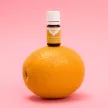 Panarom Keserűnarancs-virág olaj 10% (Citrus aurantium fl.) - 5 ml