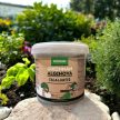 Greenman AlgiNova talajjavító készítmény - 1,5 kg