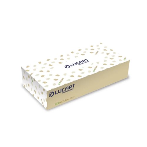 Lucart újrahasznosított, dobozos kozmetikai kendő - 2 rétegű, 100 db (EcoNatural 100 V)