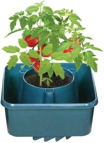 Strend Pro Harvester öntözős cserép paradicsomhoz – 27×15 cm