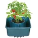 Strend Pro Harvester öntözős cserép paradicsomhoz – 27×15 cm