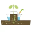 Strend Pro Harvester öntözős cserép paradicsomhoz – 27×15 cm