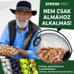 Strend Pro Gyümölcs és dió szedő, alu teleszkópos nyéllel 80-120 cm