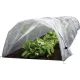 Strend Pro Greenhouse mini fóliaalagút (fóliasátor) - 55x300x40 cm