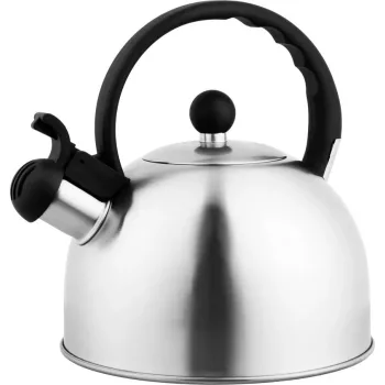   MagicHome sípolós rozsdamentes acél teáskanna, indukciós - 2,5 L