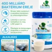 Mr. Bacteria No.1 - Biológiai szennyvízkezelő, emésztőgödör tisztító készítmény - 100 g