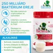 Mr. Bacteria No.5 - Biológiai lefolyótisztító - 100 g