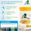 Mr. Bacteria No.6 - Biológiai tisztító latrina, kerti wc szagtalanításához - 100 g