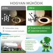 Mr. Bacteria No.6 - Biológiai tisztító latrina, kerti wc szagtalanításához - 100 g