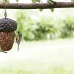 Esschert Design felakasztható, makk alakú madáretető, ráccsal
