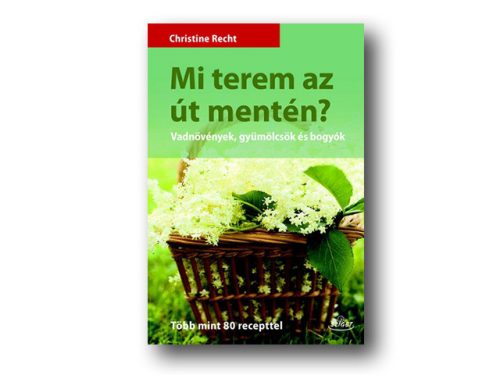 Christine Recht: Mi terem az út mentén?