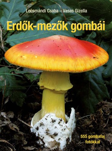 Locsmándi Csaba, Vasas Gizella: Erdők-mezők gombái