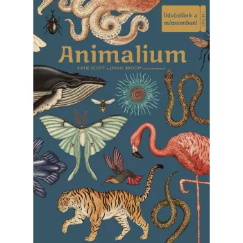   Jenny Broom - Katie Scott: Animalium - Üdvözlünk a múzeumban!