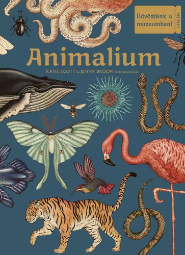 Jenny Broom - Katie Scott: Animalium - Üdvözlünk a múzeumban!
