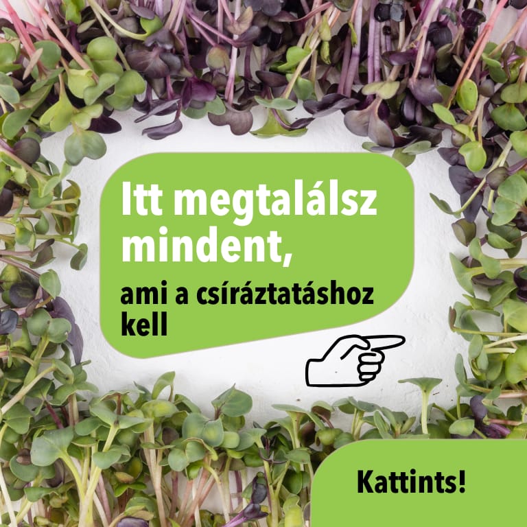 Csíráztatás - magok és eszközök a Zöldboltnál