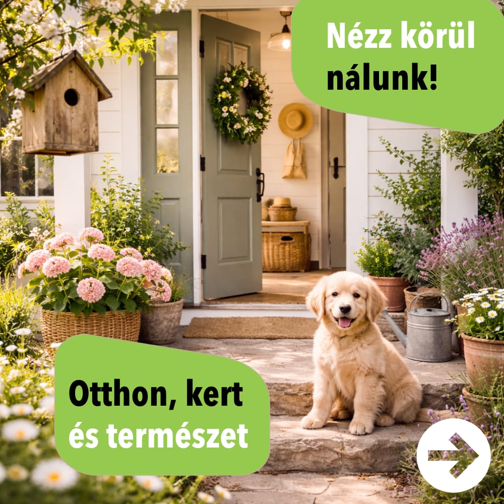 Otthon, kert és természet kategória a Zöldboltban