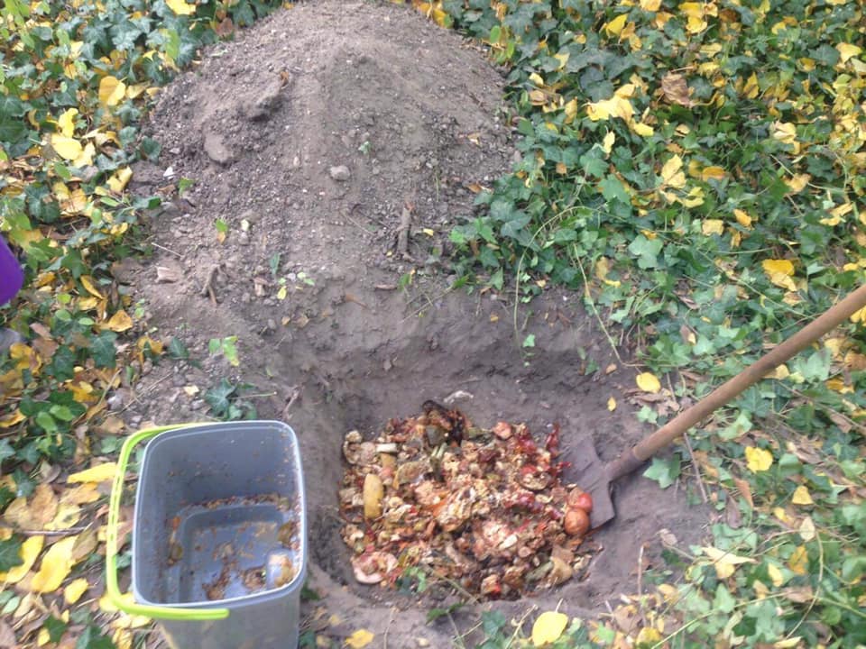 Fermentált Bokashi zöld hulladék kihelyezése kertbe