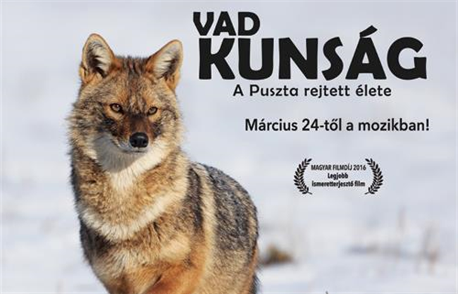 "Vad Kunság" - világszinvonalú magyar természetfilm