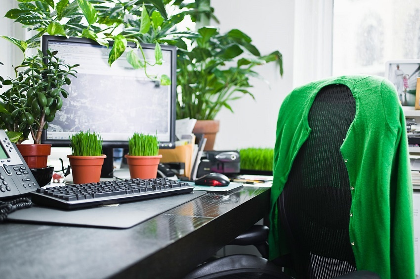 5 egyszerű tipp a zöldebb irodákért