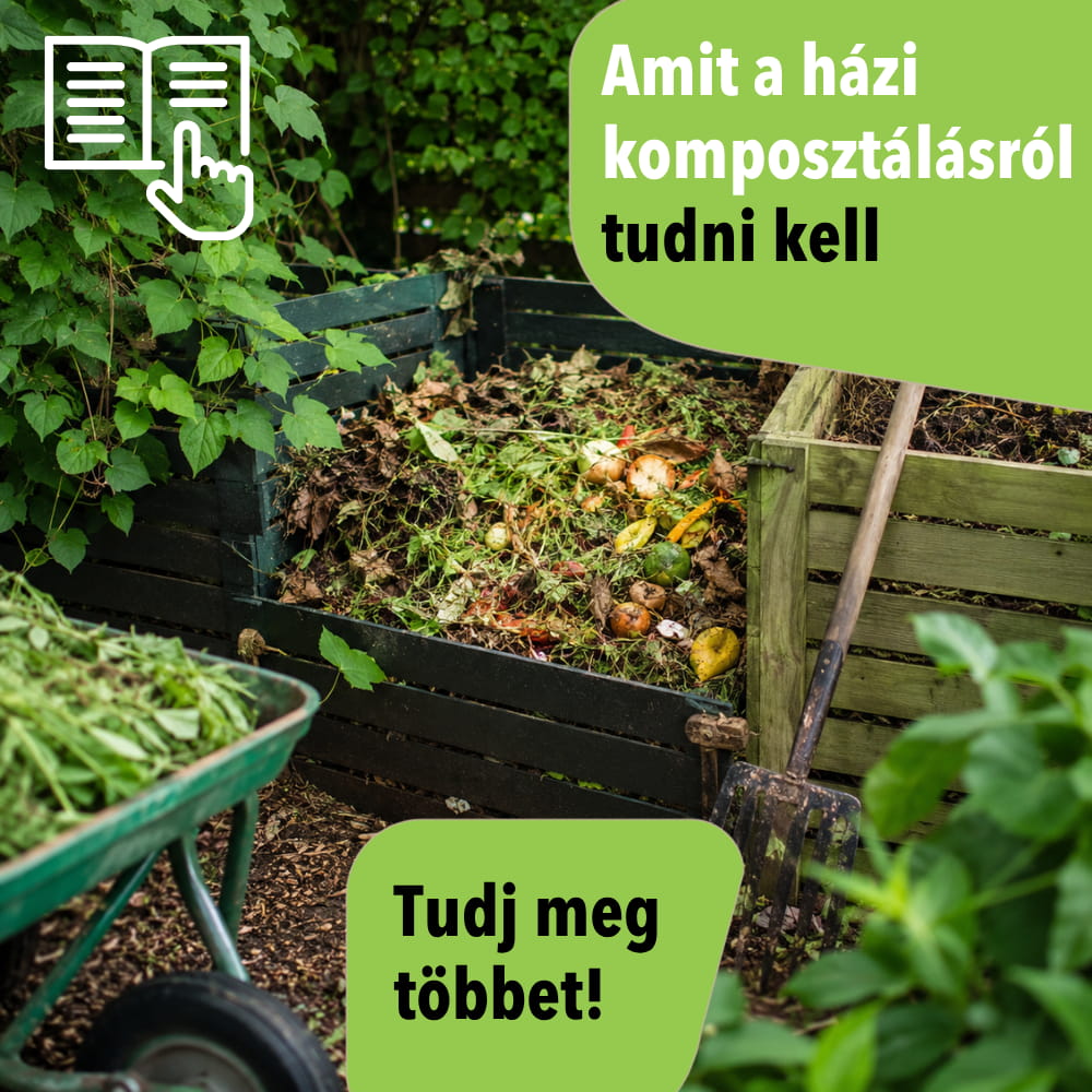 Amit a házi komposztálásról tudni kell