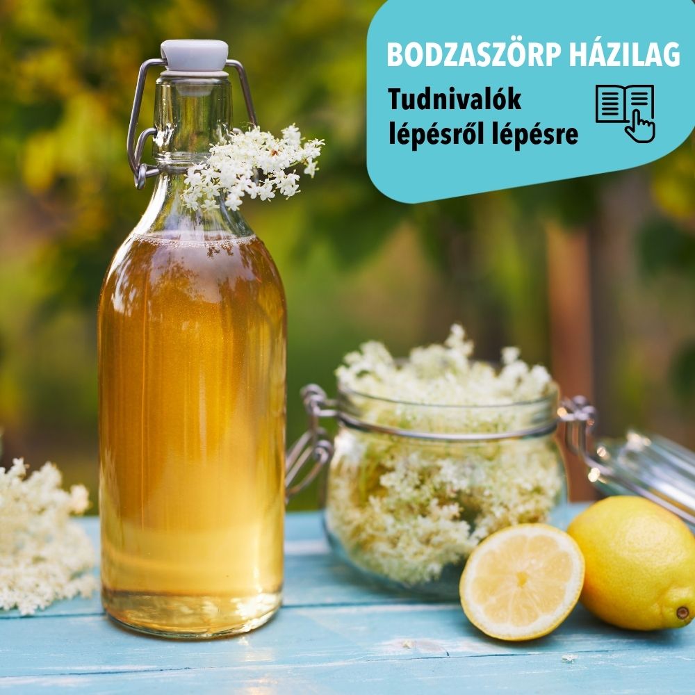 Bodzaszörp házilag – a nyár egyik legfinomabb frissítője