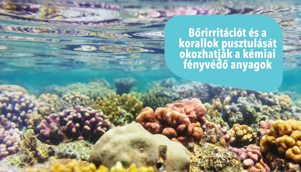 Bőrirritációt és a korallok pusztulását okozhatják a kémiai fényvédő anyagok