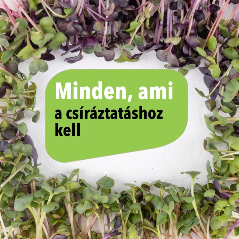 Csíráztatás - Zöldbolt