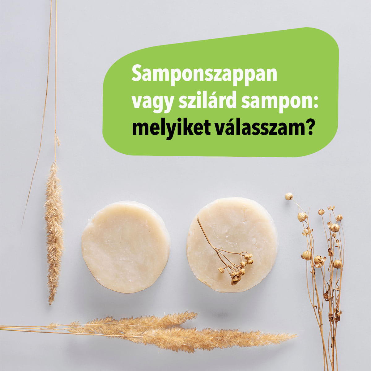 Samponszappan vagy szilárd sampon – melyiket válasszam? - Zöld tippek 6. rész